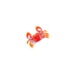CRAB